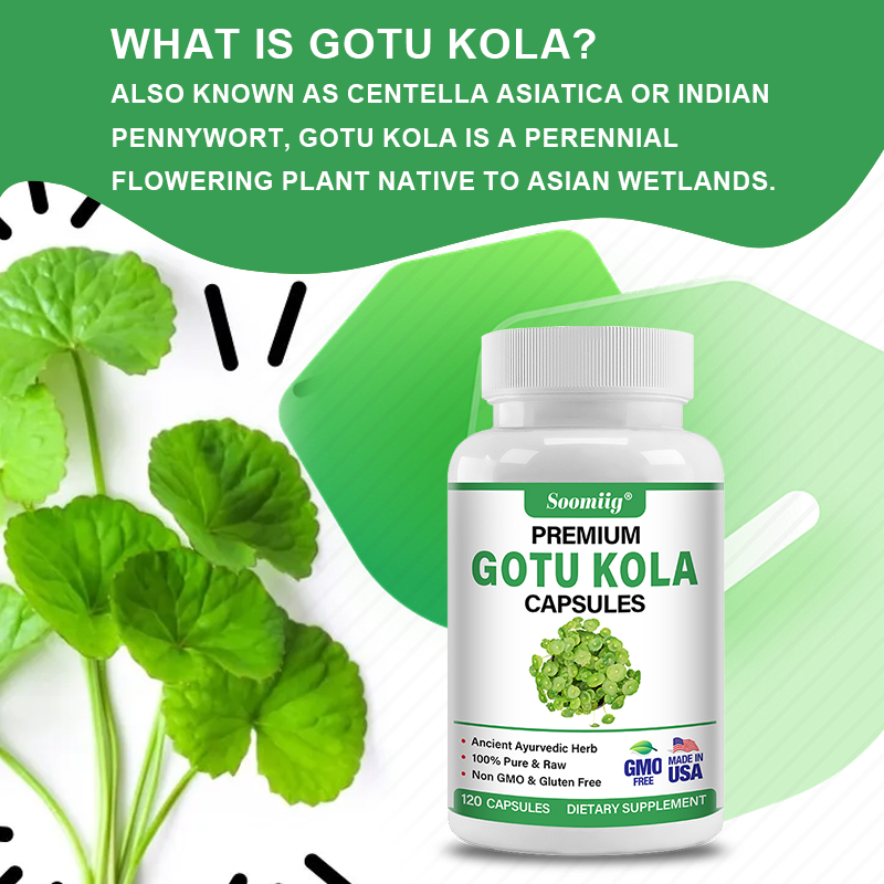 Капсулы Gotu Kola 1300 мг - Ги – обзор и цена Ginkgo Biloba Extract
