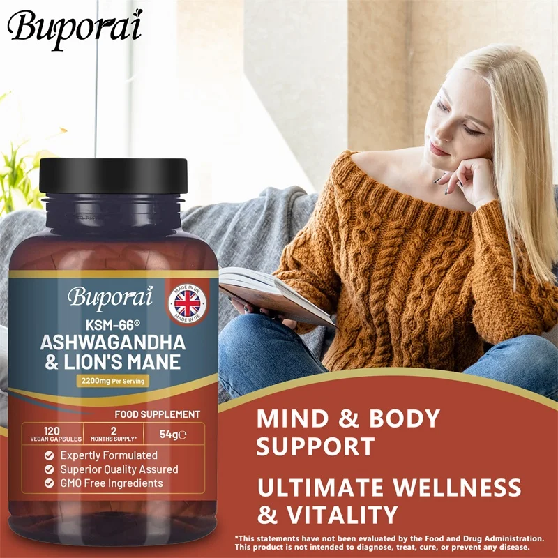 Ашваганда и экстракт ежовика г – обзор и цена Ginkgo Biloba Extract