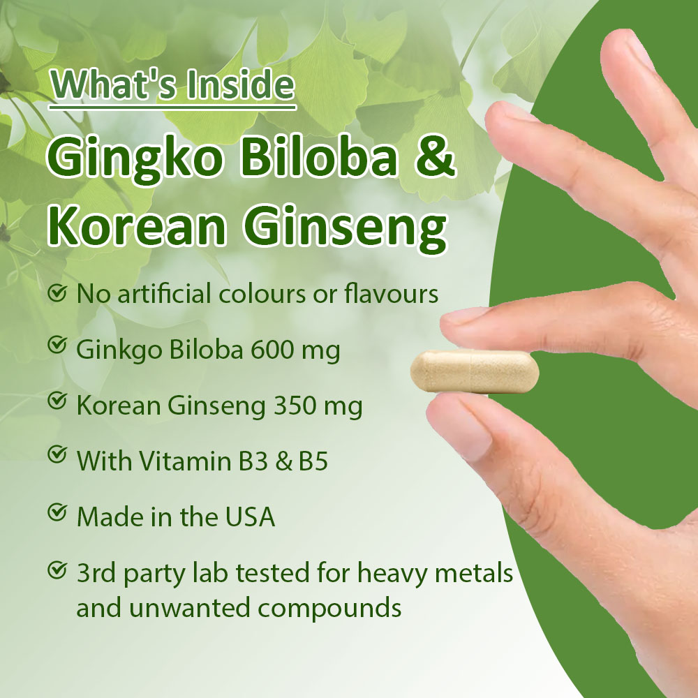 Капсулы с гинкго билоба и коре – обзор и цена Ginkgo Biloba Extract